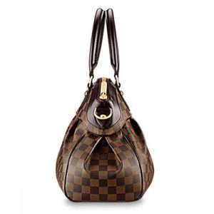 Louis Vuitton Damier Ebene Canvas Trevi PM N51997