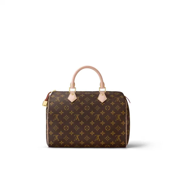 Louis Vuitton Speedy 30 M41108