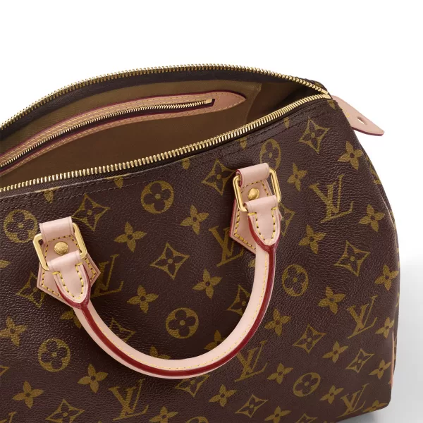 Louis Vuitton Speedy 30 M41108