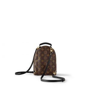 Louis Vuitton Monogram M44873 Palm Springs Mini