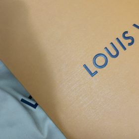 Louis Vuitton M46203 CarryAll PM photo review