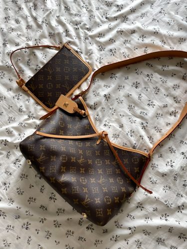 Louis Vuitton M46203 CarryAll PM photo review