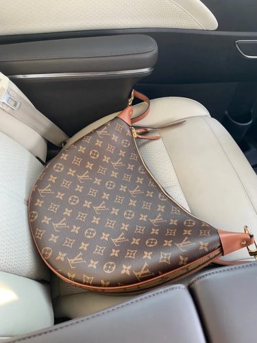 Louis Vuitton M46311 Loop Hobo Monogram photo review