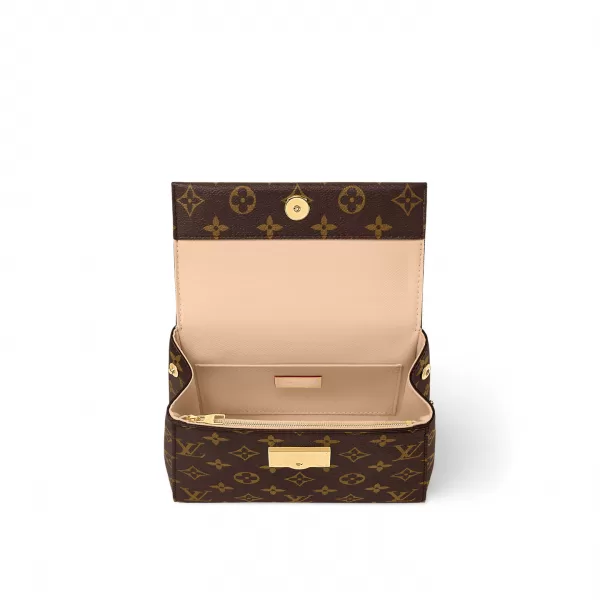 Louis Vuitton Monogram M46055 Cluny Mini