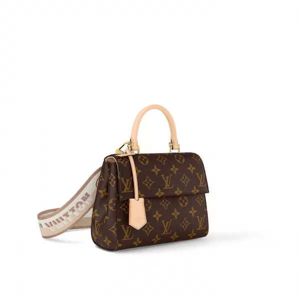 Louis Vuitton Monogram M46055 Cluny Mini